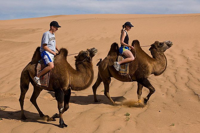 1 Day Semi-Gobi All-included tour - Semi-Gobi Near Ulaanbaatar: Why This Sand-Dune Day Feels Different