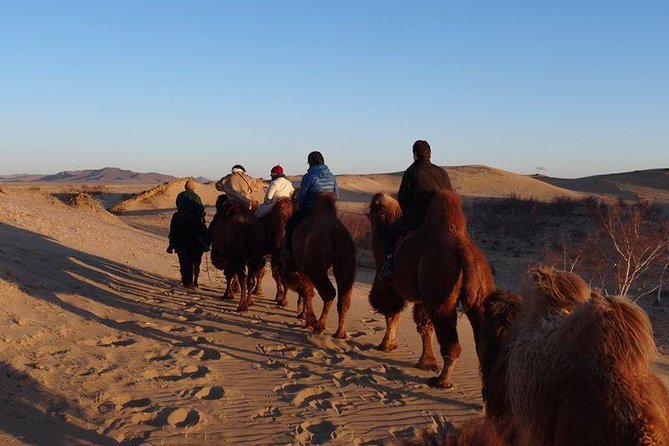 1 Day Semi-Gobi All-included tour - Price and What You Actually Get for $145.58