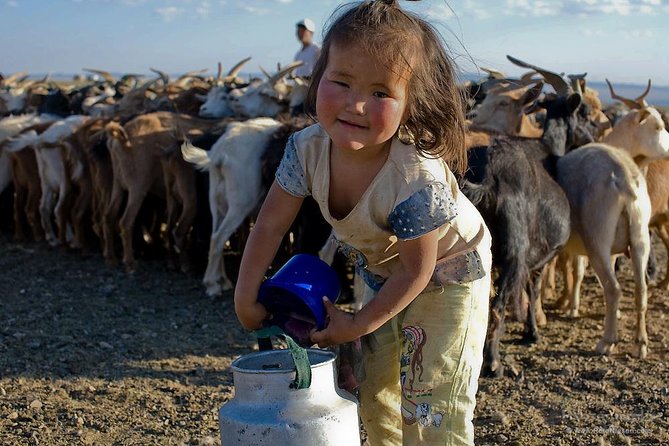 1 Day Semi-Gobi All-included tour - Elsen Tasarkhai Mini Gobi: Camel or Horse Over Sand Dunes