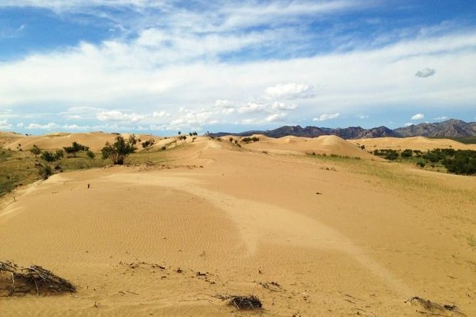 1 Day Semi-Gobi Tour Including Lunch And Free Camel +Bonus Khustai National Park - Lunch En Route: The Small Detail That Makes the Long Day Work