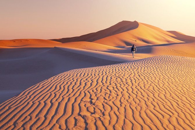 1 Day Semi-Gobi Tour with Lunch And Enjoying Camel or Horseback - Khustain Nuruu Conservation Stop: A Calm Reset Before the Dunes