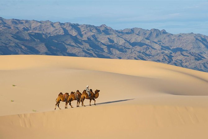 1 Day Semi-Gobi Tour with Lunch And Enjoying Camel or Horseback - The Little Gobi Dunes: Walking First, Then Riding Camel or Horseback
