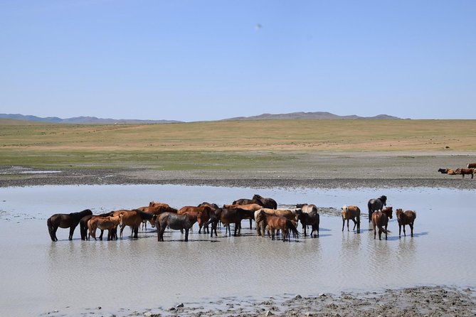 2 day Central Mongolia - A fast route to the heart of Central Mongolia