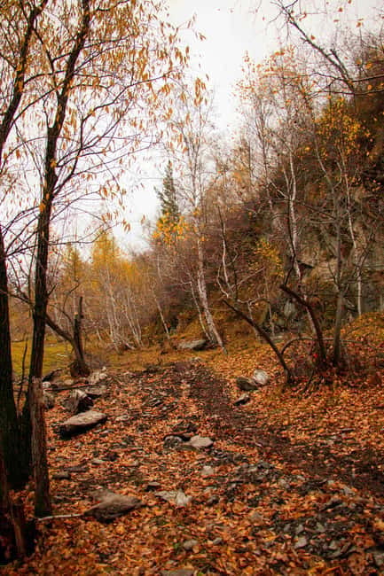 2 Day Horse trekking in Terelj national park - Key things to know before you go