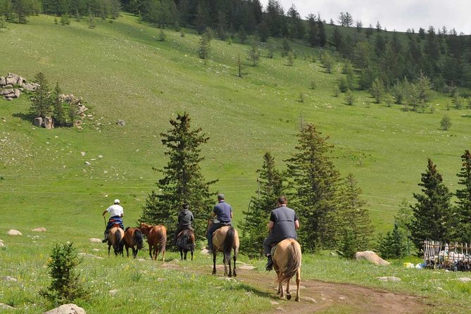 2 Days Tour: Terelj National Park And Chinggis Statue - Why Chinggis Khaan and Terelj fit together in 2 days