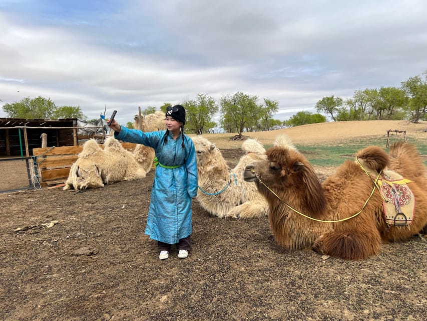 4 Day Best of Central Mongolia tour, Chinggis Khan statue - Day 3 Khugnu Tarna national park, horse ride, and Erdene Khamba ruins