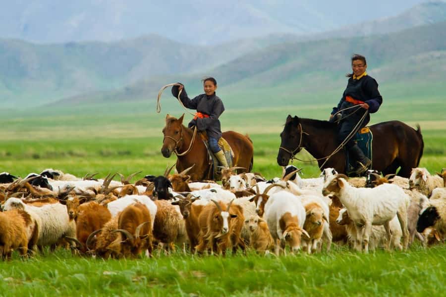 4 Day Central Mongolia - Should You Book This 4-Day Central Mongolia Tour?