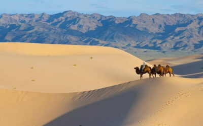 4 Days Central Mongolia-Amazing experiece