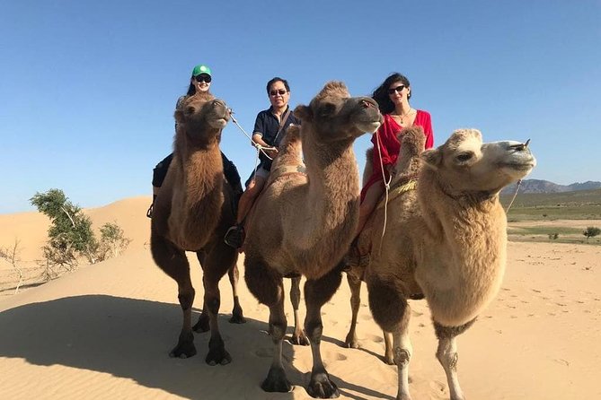 4 Days-The Best of Mongolia Collection tour - Day 1: Elsen Tasarkhai semi-desert and camel riding in Khugnu Khan area