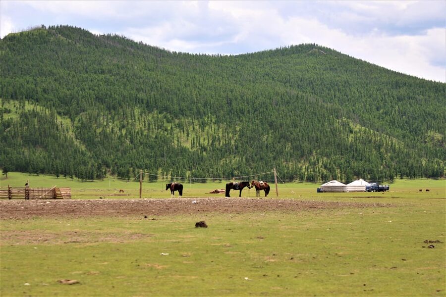 5 day Central Mongolia and Nomad stay tour - The driving, the timing, and how to avoid feeling rushed