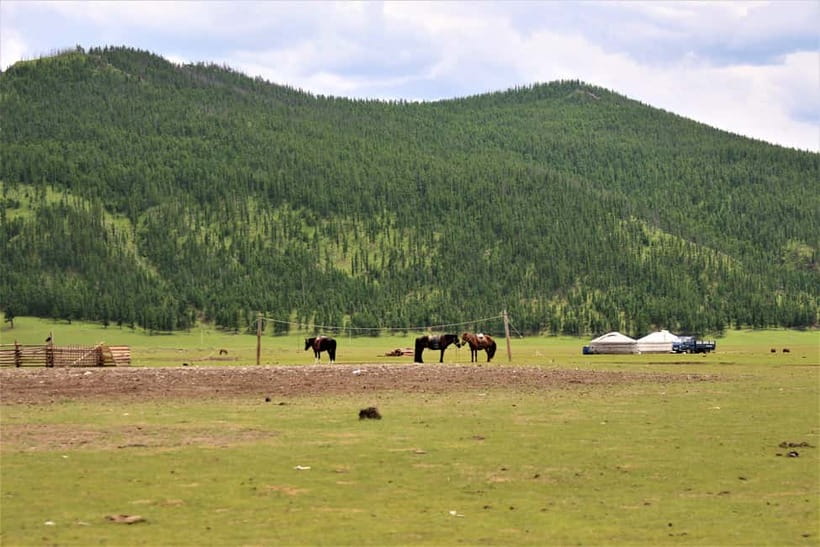 5 day Central Mongolia and Nomad stay tour - Day 5: The 370 km return to Ulaanbaatar and what to do with your last morning