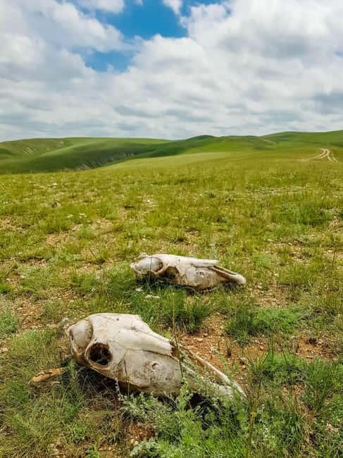 5 day Central Mongolia and Nomad stay tour - Ger hostels, meals, rides, and the packing list that keeps you sane