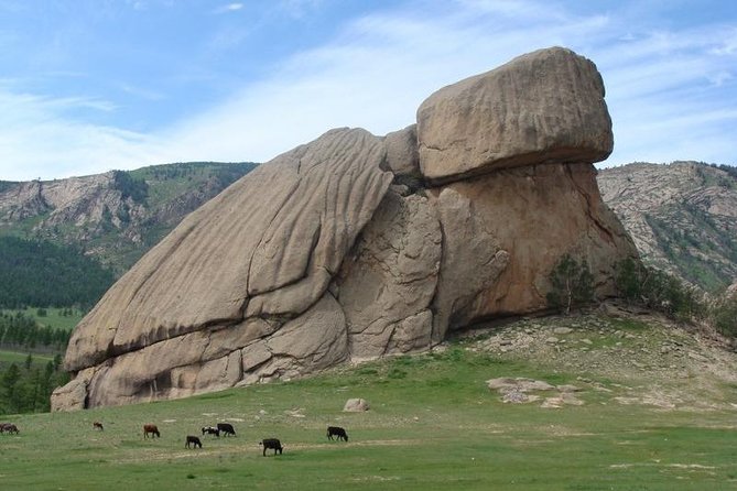 5 Days Terelj national Park Tour From Central Mongolia - Homestays, meals, and how comfort is actually handled