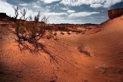 6 Days Color of Gobi Desert