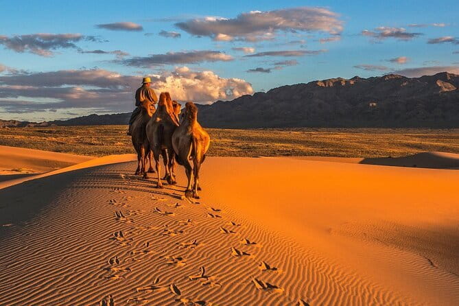 6 Days Color of Gobi Desert - Returning Toward Ulaanbaatar: Horses, Gers, and a Short City Reset