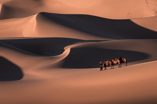 6 Days Gobi Desert Tour with complimentary airport pickup - Key Highlights You’ll Care About