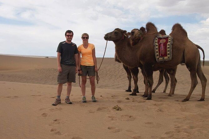7 days Great Gobi Tour - Value at $1,400: a private week with pickup, a set start time, and real guides