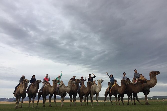 8 Day Great Gobi and Central Mongolia - Day 5 Orkhon Waterfall: A Real Pause From Desert Color