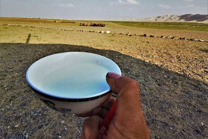8 Day Great Gobi and Central Mongolia - Day 6 Orkhon Valley: A Rest Day That Still Includes Walking and Horse Riding