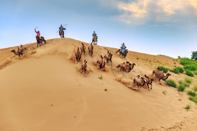 8 Days Tour: Gobi Desert And Kharkhorin - Key Points to Know Before You Go