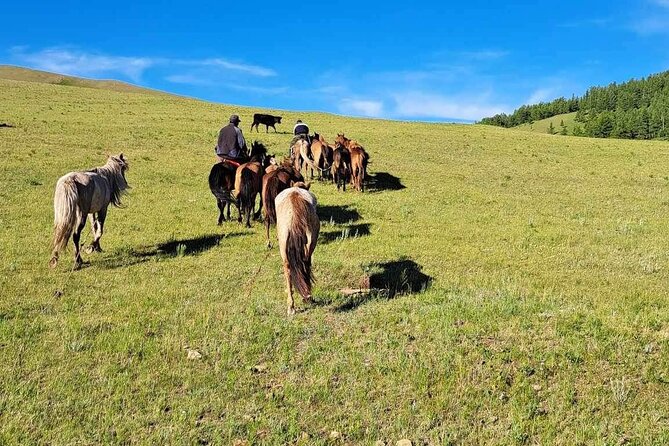 A Day Authentic Mongolian Trip near Ulaanbaatar all-inclusive - Day 1 horse riding from 14:00 to 16:00, plus a second stretch
