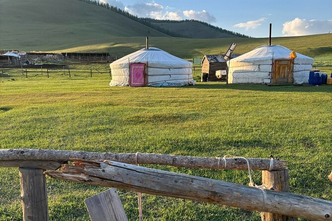 A Day Authentic Mongolian Trip near Ulaanbaatar all-inclusive - Dinner in a family ger kitchen, then stargazing if the sky is clear