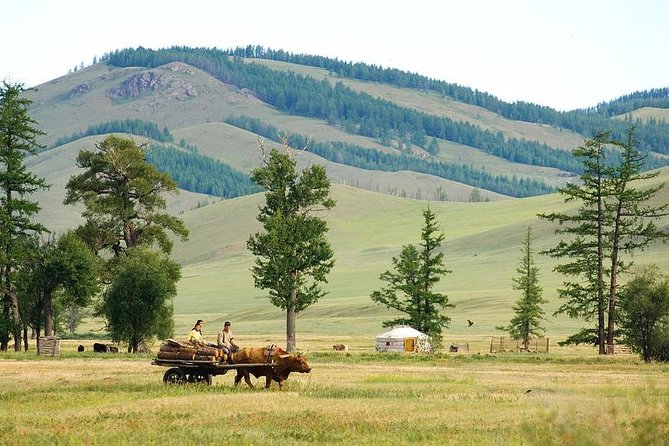 A day trip to Terelj National Park and Statue of Chinggis Khan - Getting there from Ulaanbaatar: pickup, timing, and the drive rhythm