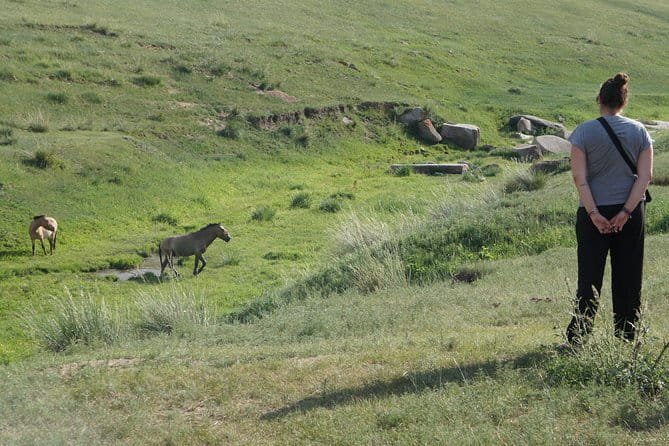 Authentic Mongolian two days tours in Terelj & Khustai National P - Day 1 in Khustain Nuruu: wildlife watching in the forest-steppe zone