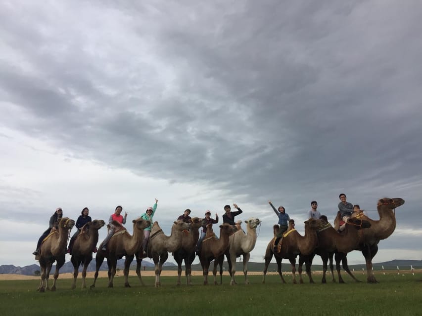 Best 6-Day Gobi Tour Discover Mongolia - Key highlights that shape your trip