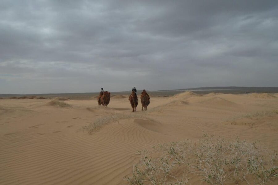 Best 6-Day Gobi Tour Discover Mongolia - Riding camels and horses: fun, but know what you are signing up for