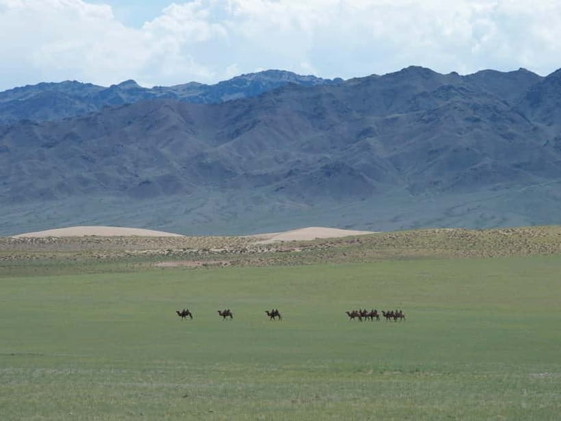 Bus tour to visit Gobi 4 day - Day 3: Morning dunes, camel ride, and a hotel night in Dalanzadgad
