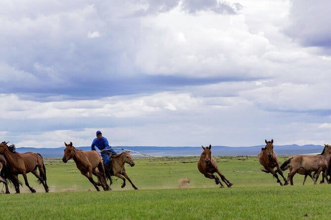 Essence of Mongolia 5 Days - Key Things I’d Plan Around