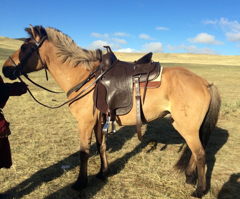 From Ulaanbaatar: Day Trip to Hustai National Park - Key Things You Should Know Before You Go