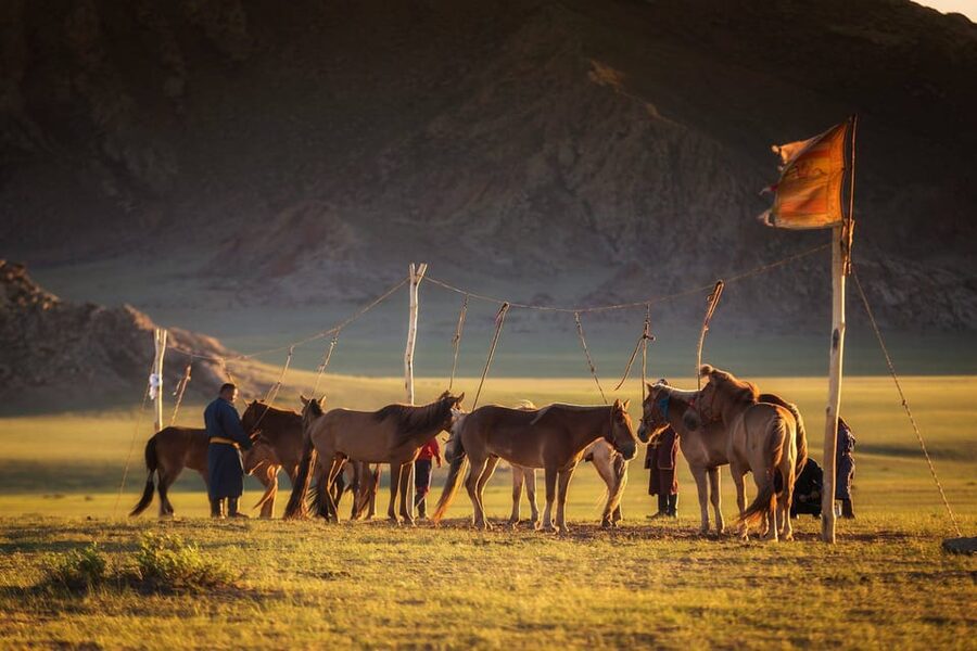 From Ulaanbaatar: Day Trip to Hustai National Park - Should You Book This Hustai National Park Day Trip?