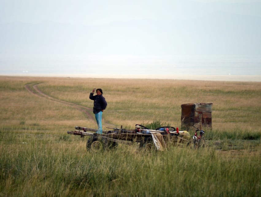 From Ulaanbaatar: Day Trip to Hustai National Park - The Best Moments for Horse Spotting: Light, Heat, and Patience
