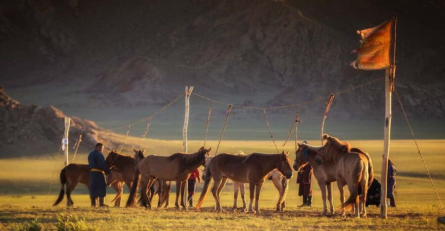 From Ulaanbaatar: Day Trip to Hustai National Park - Lunch, Ger Life Clues, and a Local Food Stop