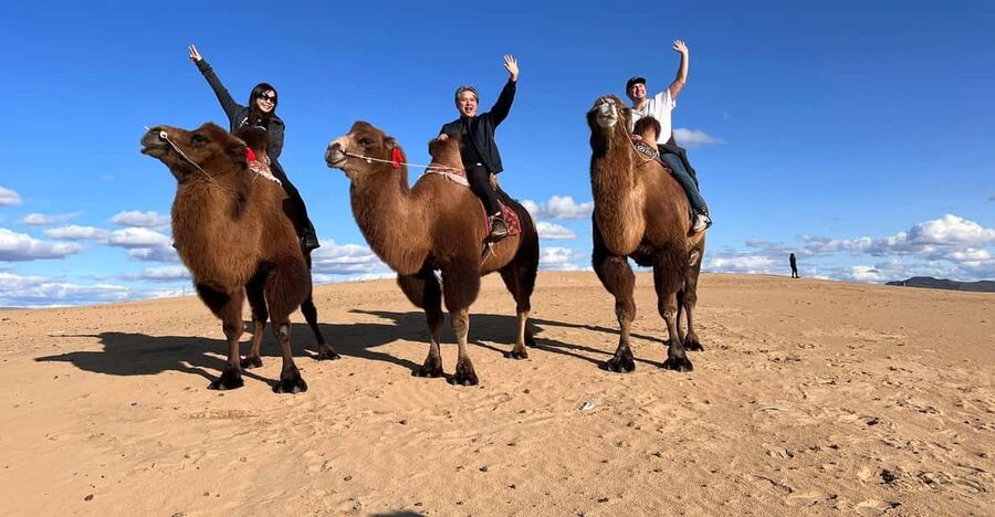 From Ulaanbaatar: Semi Gobi, Nomads, Ancient Kharkhorin Tour - Who should book this tour, and who might not enjoy it