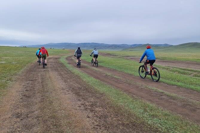 Full Day Mountain Biking Tour in Khan Khenty National Park - Should you book this full day mountain biking tour?