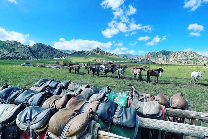 Full Day Private Tour in Terelj National Park with Horse Riding - Horse riding in Terelj: what you get if you are a true beginner