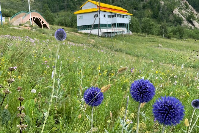 Full Day Private Tour in Terelj National Park with Horse Riding - Turtle Rock and Ariyabal Meditation Temple, two stops with different moods