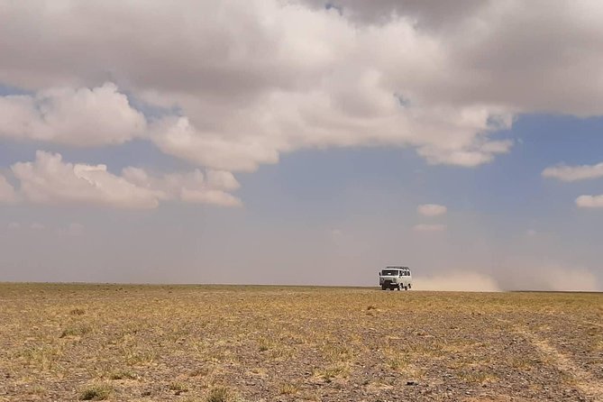 Gobi and Grassland Mongolia 7N8D - The private tour setup with Woodpecker’s guides and flexible timing