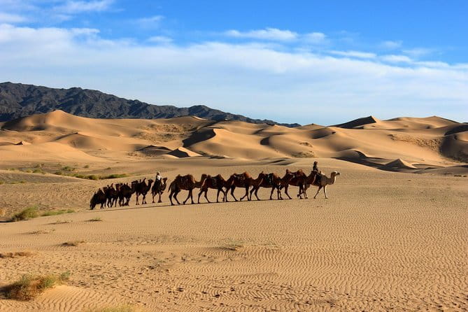 Gobi desert Mongolia for 8 days - Singing Dunes Day: The Hike, the Sound, and Why It’s Worth the Effort
