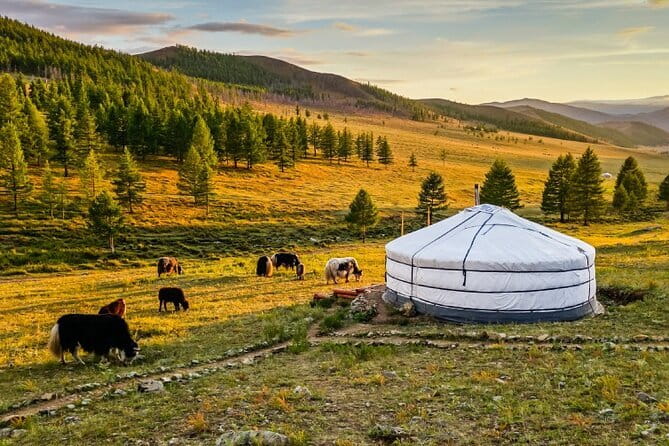 Gobi tour Mongolia 7 Days - Day 4 Yolyn Am (Eagle Valley): gorges, ice formations, and the Gobi Museum