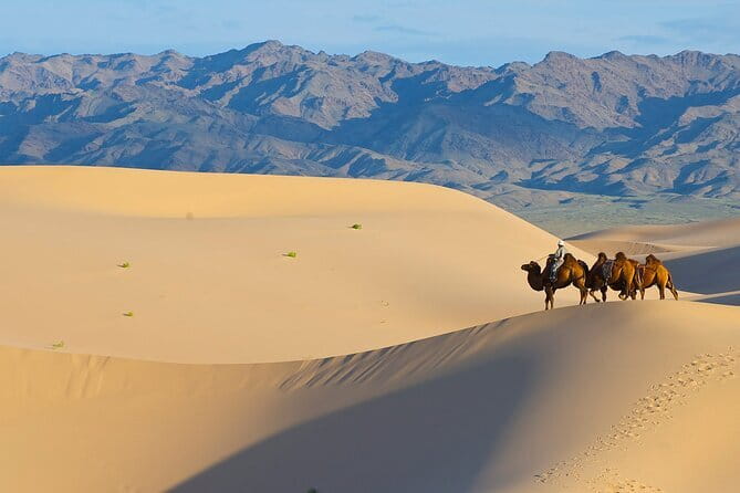 Gobi tour Mongolia 7 Days - Day 5 Khongor Sand Dunes: camel ride and dune walking