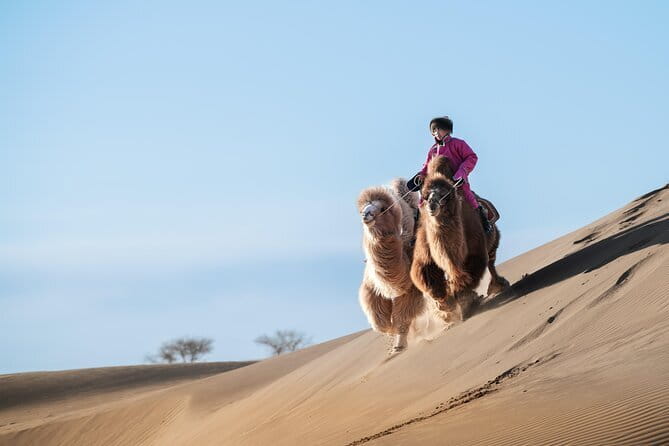 Gobi tour Mongolia 7 Days - Price and what $1,290 actually buys you