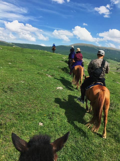 Horse riding experience in Terelj National park 1 day - Pickup at 9:00, Private Group Time, and a Day That Keeps Moving