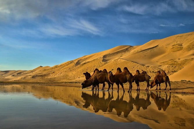 Kharkhorum, Semi-Gobi 2 days 1 night private trip - Who should book this private Kharkhorin and Semi-Gobi route