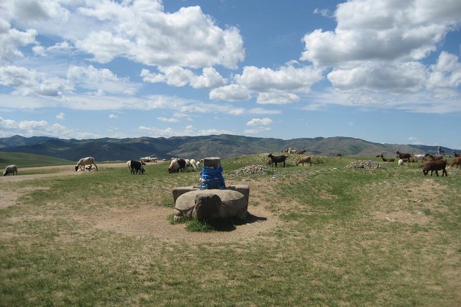 Mini Gobi and the ancient capital Kharkhorin - 4 days - Key things to know before you go