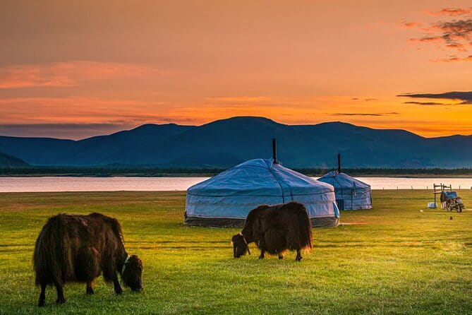 Mongolia - Sedan, Lexus, UAZ Minivan, 4WD Tour& Transport Service - Price and Value: What You Get for $100 per Group