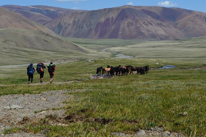Mongolia Trekking Tour in the Altai Tavan Bogd National Park - Day 2: Base camp trekking, panoramic peaks, and lighter packing
